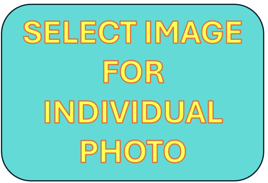 select image for individual photo select image for individual photo